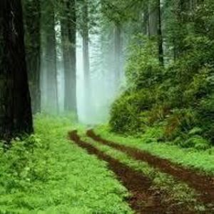 Meet your Posher, Terrie